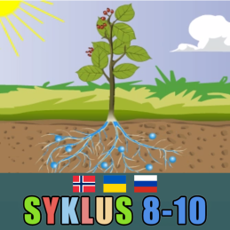 Syklus 8-10 norsk, ukrainsk...