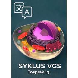 Syklus vgs tospråklig