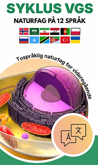 " Syklus VGS"-omslag med en 3D-cellemodell og 12 språkflagg for "Naturfag på 12 språk"