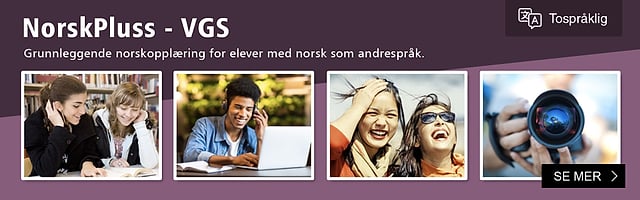 Norwegian plus upper secondary school