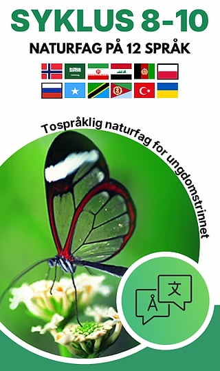 Cover of "SYKLUS 8-10 – NATURFAG PÅ 12 SPRÅK" showing a glasswing butterfly and 12 flags