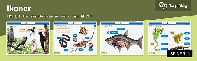 New - ICONS in 12 languages!
