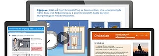 Tverrfaglig pakke - skjermbilder