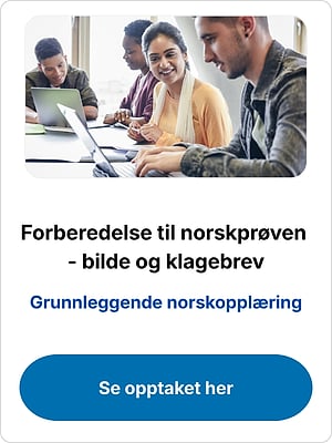 "Forberedelse til norskprøven - bilde og klagebrev" webinar with students working on laptops