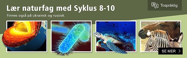 Learn science with Syklus 8-10